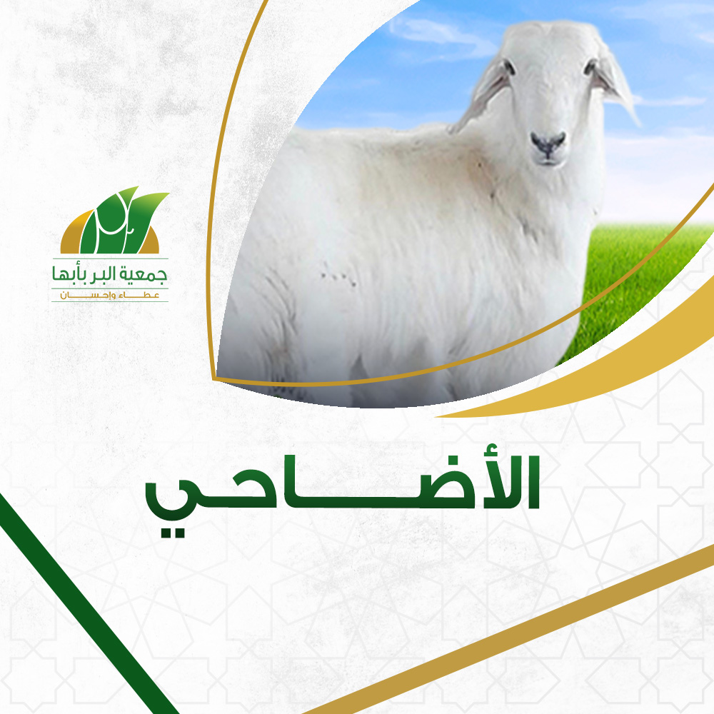 الكسوة الشتوية للأسر المحتاجة